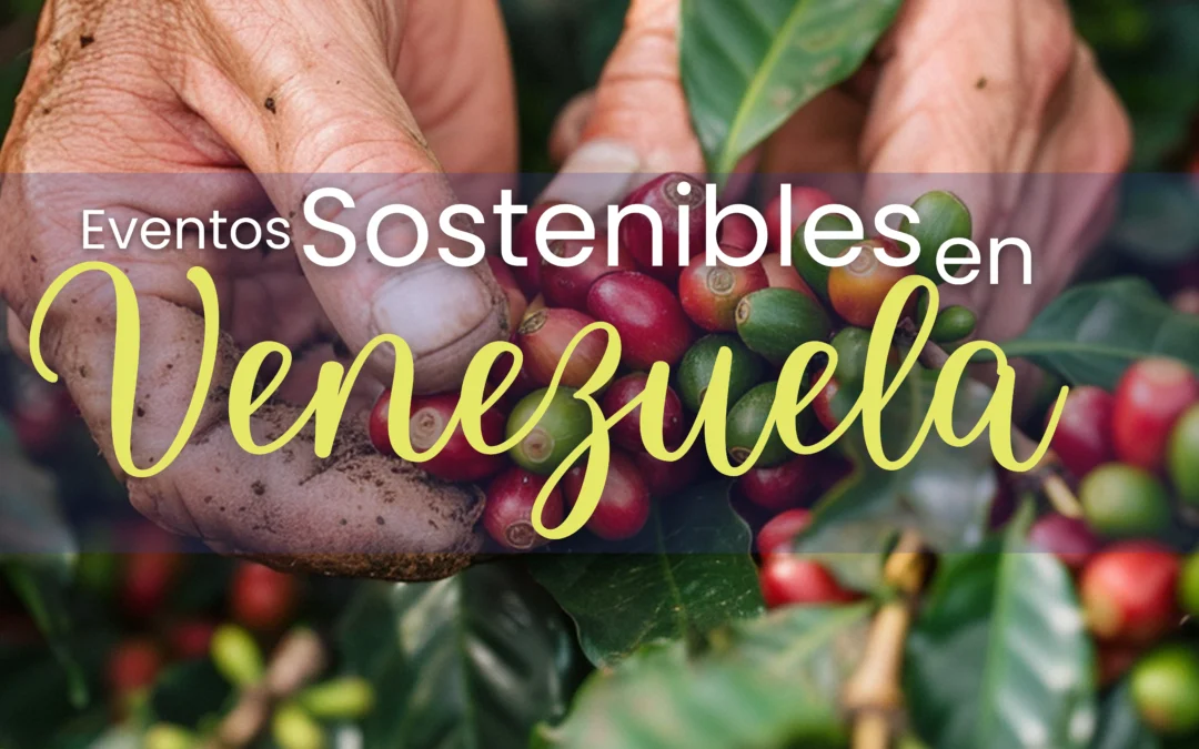 Eventos Sostenibles con Propósito en Venezuela – Ideas y Potencial